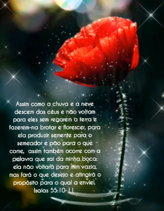 A Palavra de Deus Não Volta Vazia
