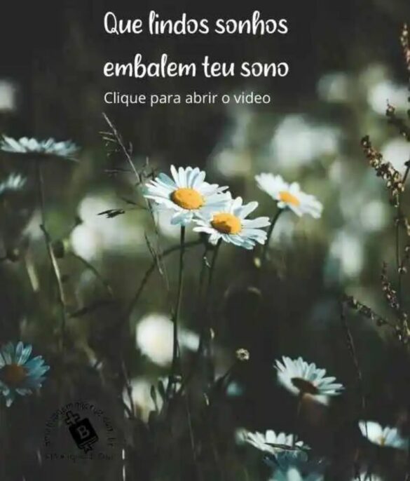 Que lindos sonhos embalem teu sono