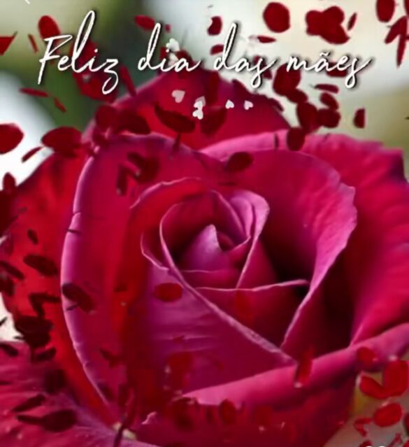 Feliz Dia das Mães